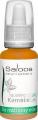 SALOOS BIO ROSTLINNY ELIXIR SQUALANE-KAMELIE 20 ML