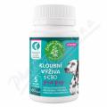 Zelen� Zem� kloubn� v��iva s CBD pro psy cps.60