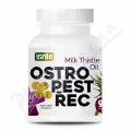 Ostropest�ec 100% olej tob.90