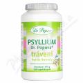 Dr.Popov Psyllium Trven cps.120