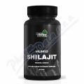 Naturprodukt Mumio Shilajit imunita&�nava cps.90