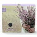 LEROS D�kuji v�b�r bylinn�ch �aj� 6x5s��k�