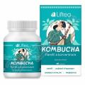 LIFTEA Kombucha Pam a koncentrace tob.60