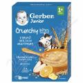 Gerber Junior nemln kae ovocn 200g 1R+