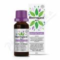 IBEROGAST NEO POR GTT LIQ 1X20ML